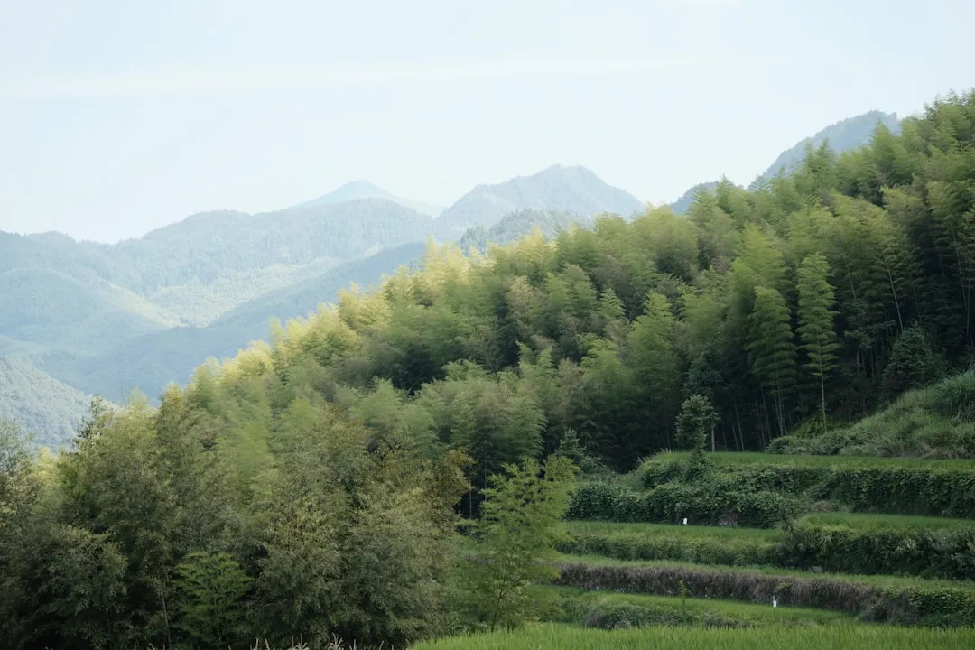 赫嘉科技嵌入式系统开发技术在智能硬件中的典型应用