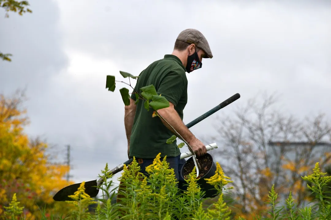 嵌入式系统在智能硬件中的低功耗设计策略与实现路径